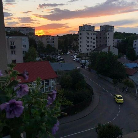 Cozy Apartment - Near Airport And Palas Mall Iasi Exteriör bild